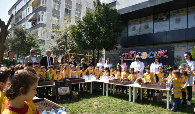 Sebze ve meyve tohumları toprakla buluştu