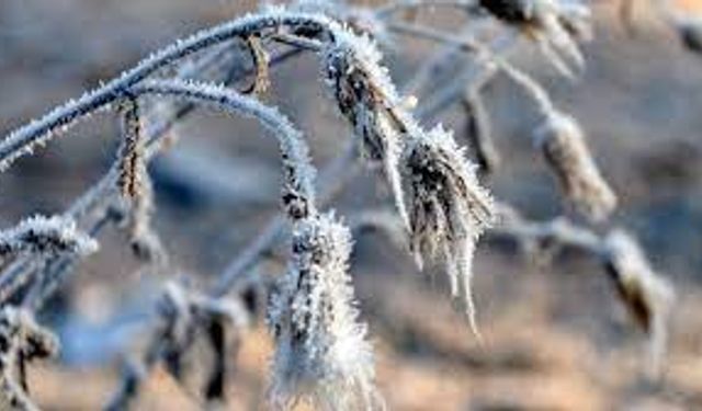 Eskişehir'e don uyarısı!