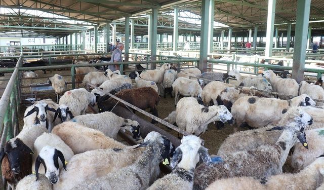 Eskişehir'de kurban bayramı önlemleri alındı