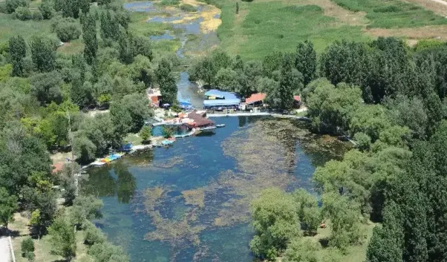 Siyaseti bırak Sakaryabaşı'na bak!
