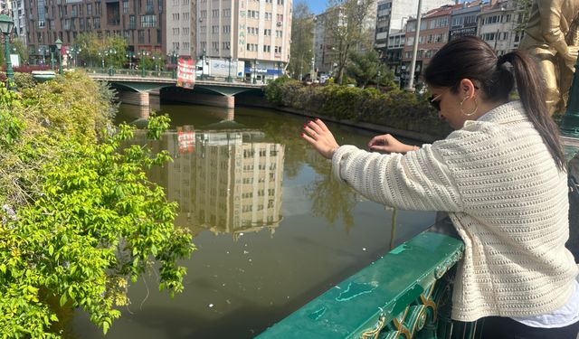 Eskişehir'in simgesi "Porsuk" Dilek Çayı'na döndü...