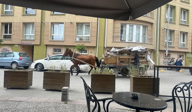 Eskişehir'in en işlek noktasında ilginç olay... Görenleri şaşırttı