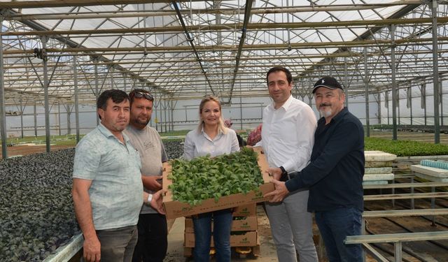 Tarıma yeni yön... O ürünle üretim çeşitleniyor