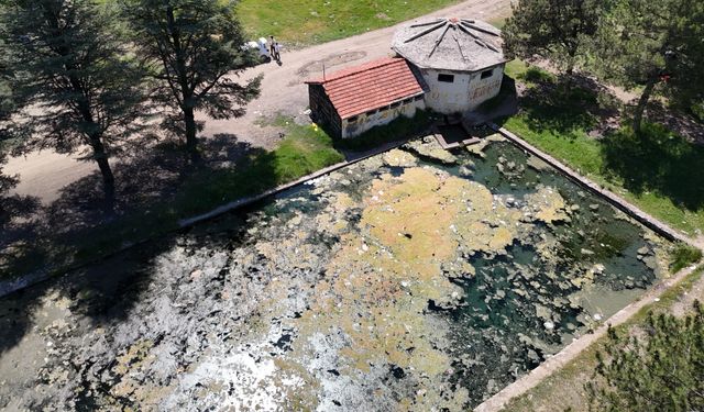 Eskişehir'e 22 kilometre uzaklıktaki kültürel miras çürüyor!