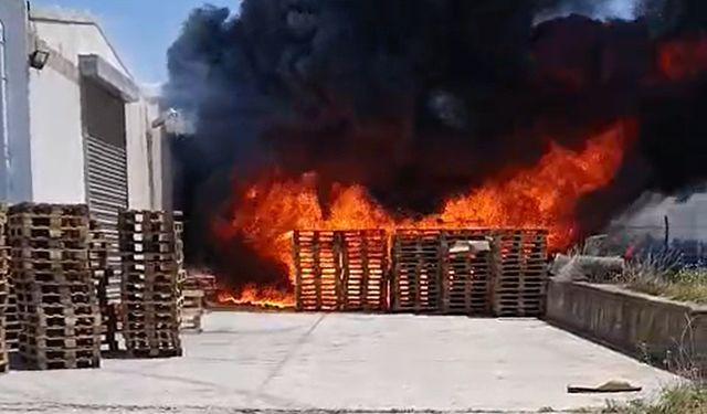 Eskişehir'de yangın paniği! Alevler yükseldi...