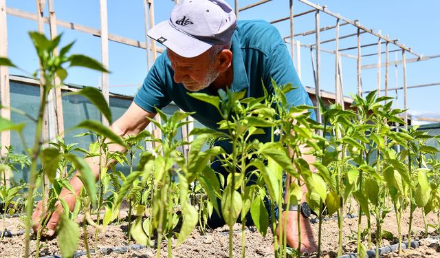 Toprağa değen eller Tepebaşı'nda üretime dönüşüyor