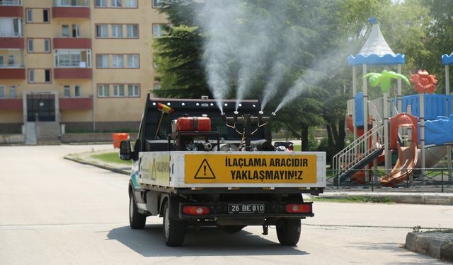 Odunpazarı Belediyesi’nden yaz aylarına kene önlemi