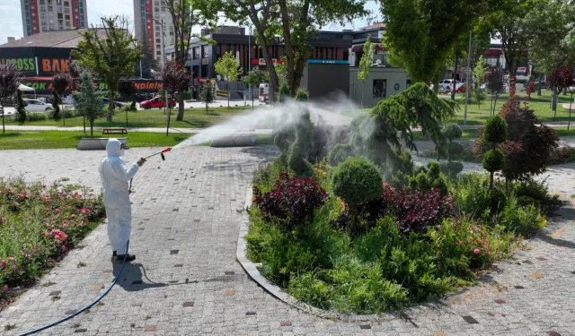 Yeşil alanları ilaçlamaya devam