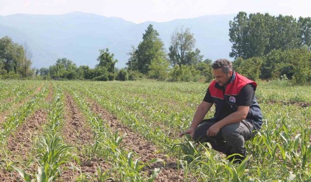 “Çiftçilere verilecek destek için son gün 10 Haziran!”