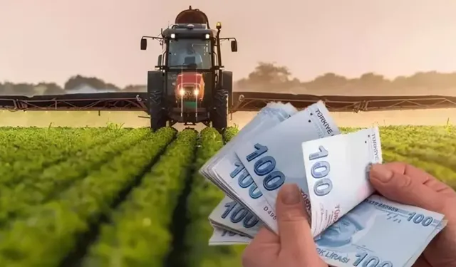 Eskişehirli çiftçilerin yüzü güldü... Destekler hesapta