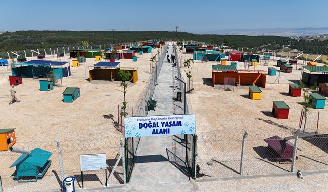 Büyükşehir'den Türkiye'ye örnek proje