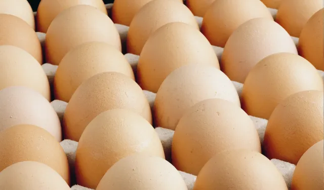 A sınıfı yumurtalarda 'tüketim tarihi' zorunluluğu...