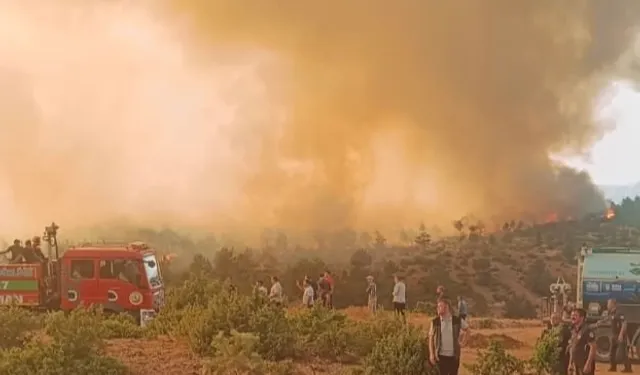 Orman yangınlarında 168 şüpheliden 39'u tutuklandı!