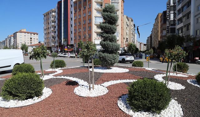 Eskişehir'deki bu yöntem su tasarrufu sağlıyor