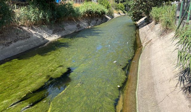 Eskişehir'in kanayan yarası... Sulama kanalların akıbeti ne olacak?