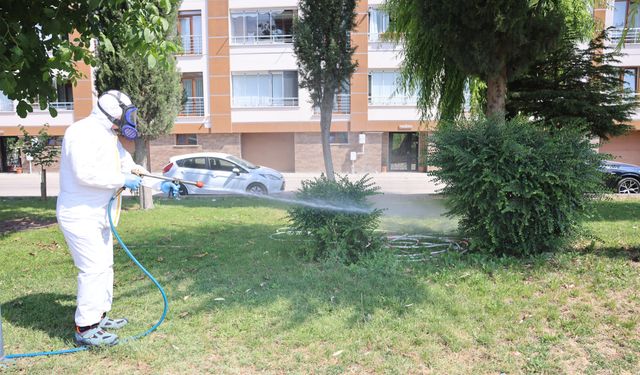 Eskişehir'de kene mesaisi