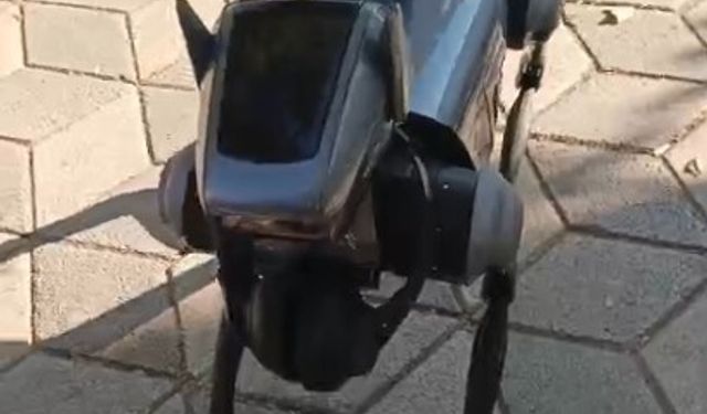 Robot köpek vatandaşların ilgi odağı oldu...