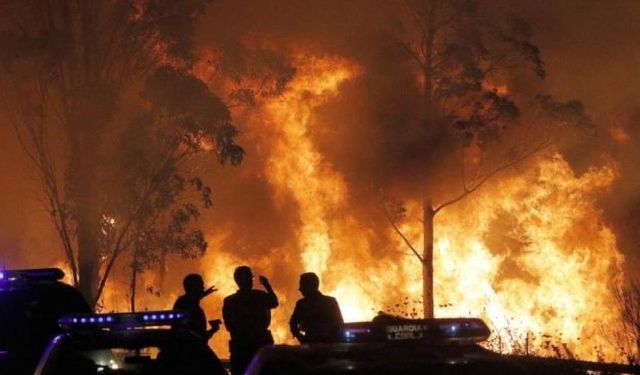 İspanya’da orman yangını: 1 kişi öldü, bin hektardan fazla alan kül oldu