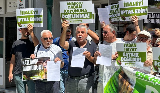 Eskişehir'de doğaseverlerden ihaleli katliama tepki!