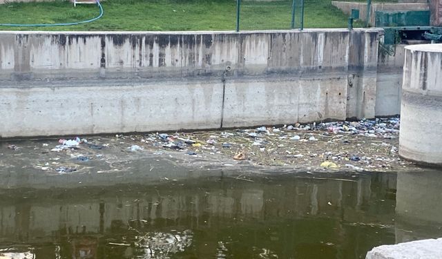 Eskişehir'de Porsuk Çayı çöplüğe döndü!