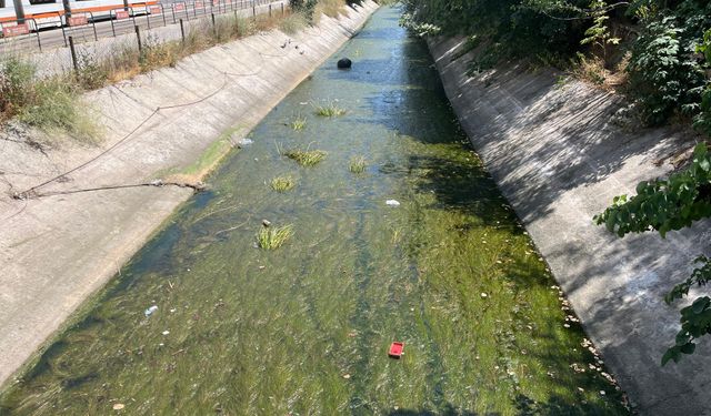 Eskişehir'in utanç kanalı: Çözüm bekleniyor!