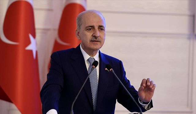 Numan Kurtuluş'un  Anayasa'nın 3. Maddesi değiştirilsin sözleri tepki çekti!
