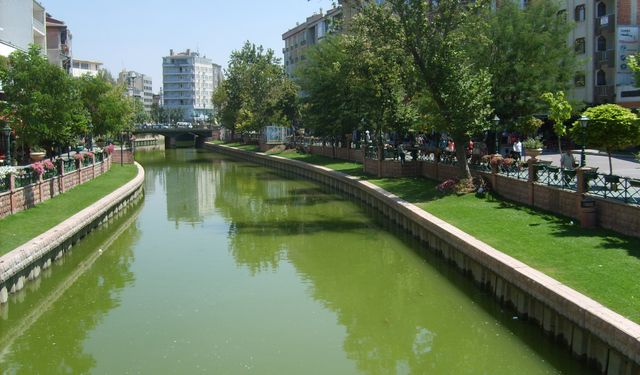 Porsuk Çayı'nda yeniden ortaya çıktılar!
