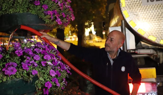 Kentin yeşil alanlarına işte böyle bakım yapıyorlar...