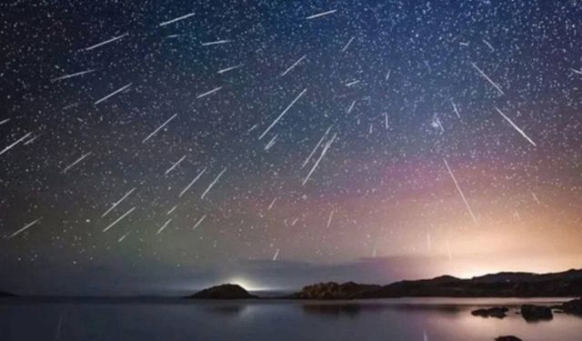 Meteor Yağmurunu zirveden izlediler