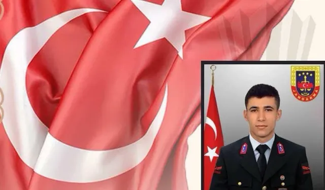 Yol kontrolü sırasında Uzman Çavuş şehit oldu