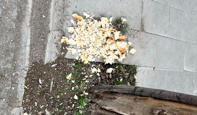 Eskişehir'de iyilik görüntüsü tartışma konusu oldu!