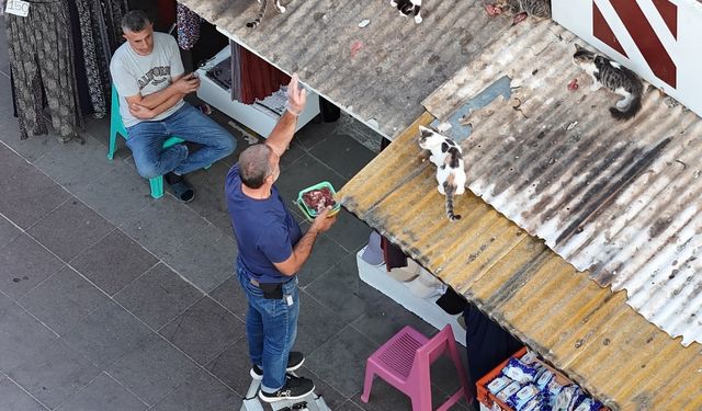 Eskişehirli esnafın hayvan sevgisi görenleri şaşırtıyor