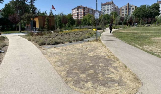 Eskişehir'de park ve yollardaki bakımsızlığa eleştiri!