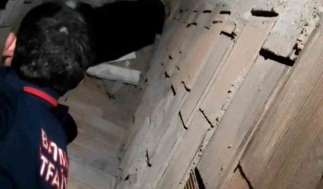 Havalandırma boşluğuna düşen kedi kurtarıldı