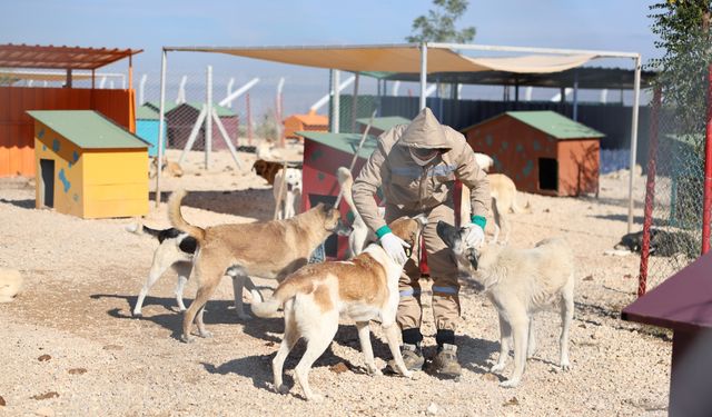 Eskişehir'de o yaşam alanı hızla tamamlanıyor...