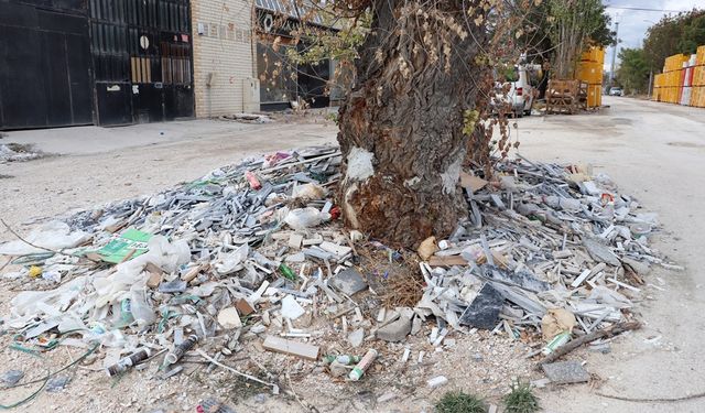 Eskişehir'de bu görüntüler büyük tepki topladı!