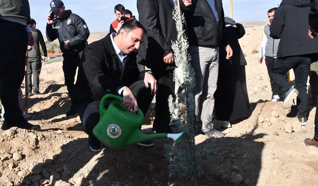 Eskişehir'in o ilçesine 5 bin fidan dikildi!