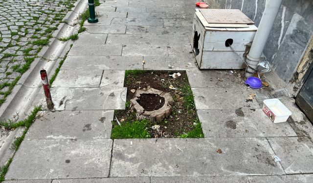 Eskişehir'de bu kaldırım yayaları zor duruma sokuyor