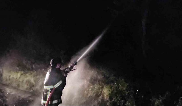 Çıkan orman yangını söndürüldü