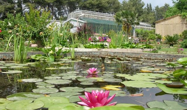 Ege Üniversitesinin endemik tür cenneti