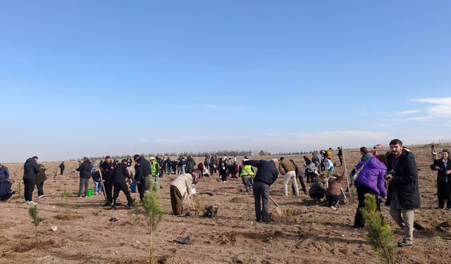 Eskişehir'de o alana 5 bin fidan dikildi!