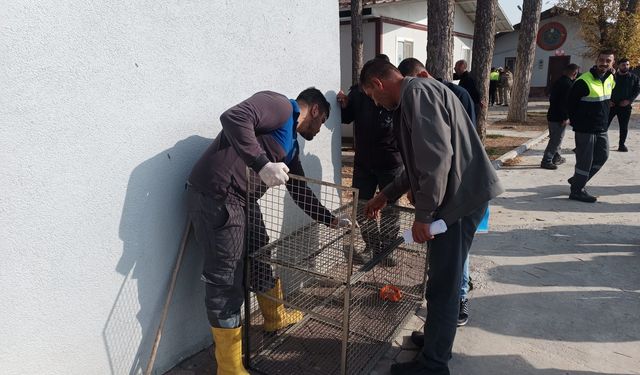 Eskişehir'de önemli eğitim