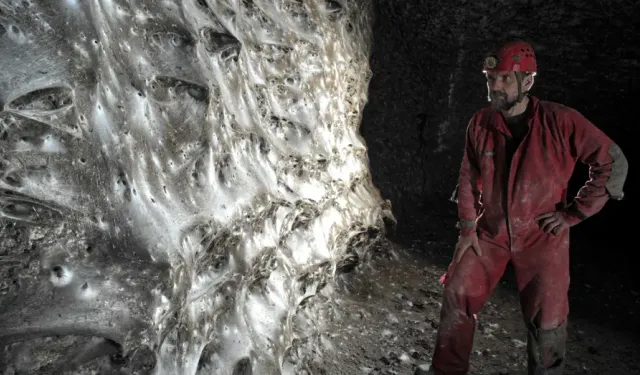 Dünyanın en büyük örümcek ağı keşfedildi