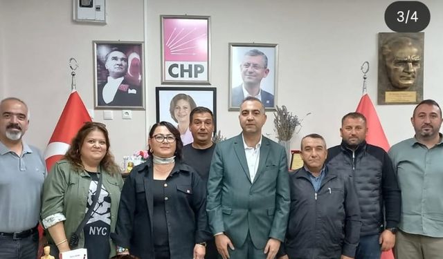 CHP'li Selma Sara: Yol yapmak lütuf değildir!