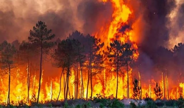 CHP Seyitgazi Belediye Başkanı Uğur Tepe'den takipsizlik kararına tepki!