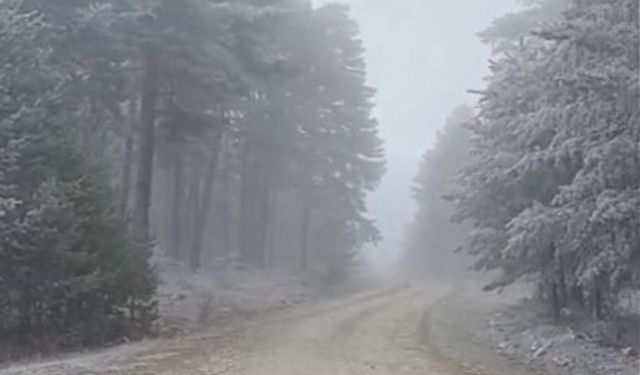 Eskişehir'in o ilçesine kar yağdı