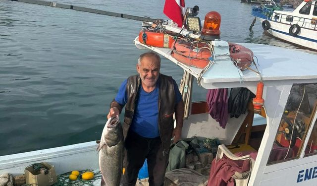 Balıkçı ağına 10 kiloluk levrek takıldı