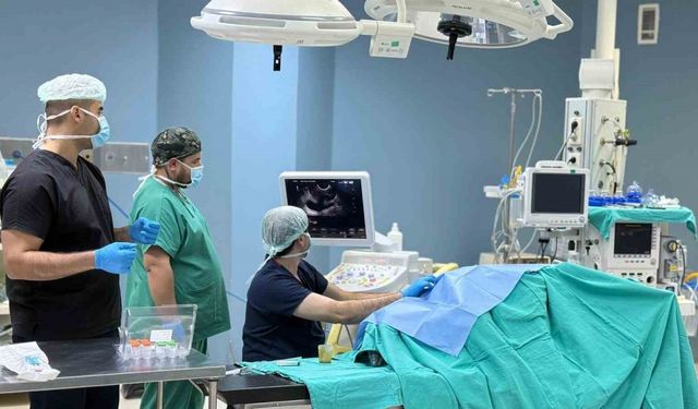 Prostat Kanseri tanısı yerinde yapılacak