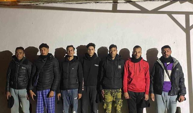 Yunanistan’a geçmeye çalışan 7 düzensiz göçmen yakalandı
