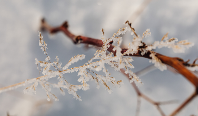 Eskişehir’de hava nasıl olacak? Meteoroloji’den buzlanma uyarısı